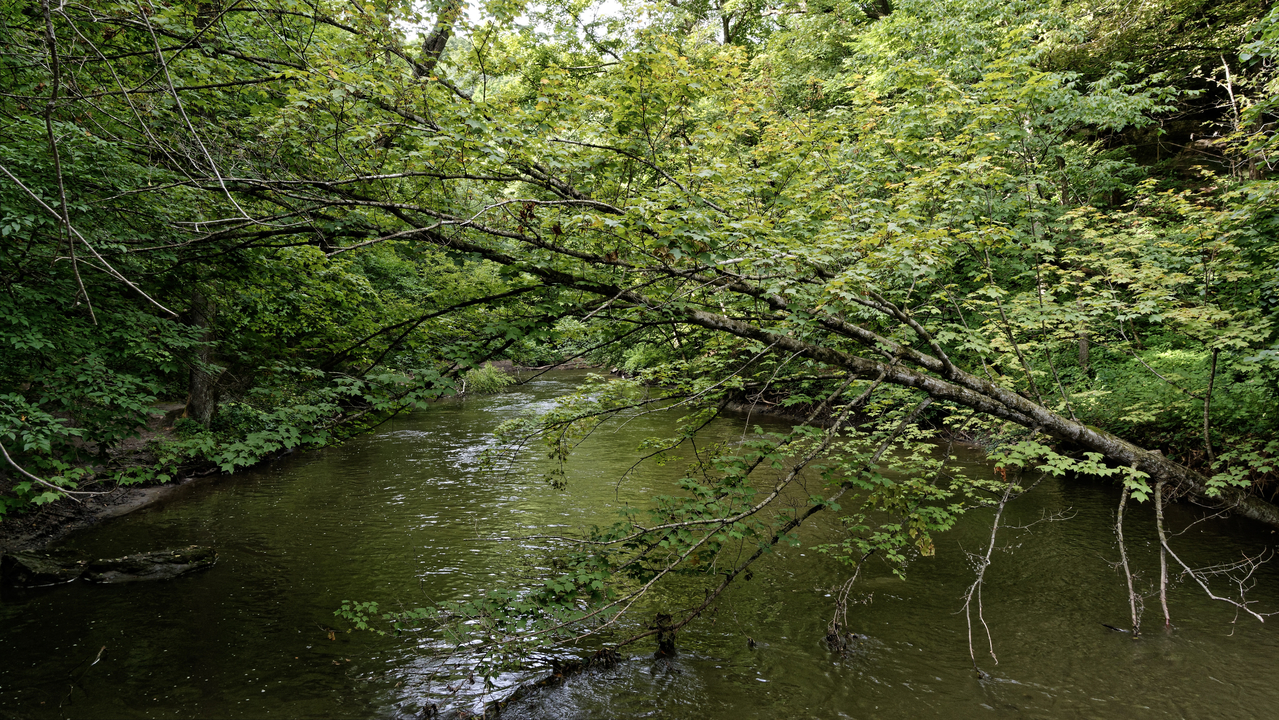 20190801-093449••North Mankato•Minnesota•USA